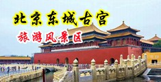 主播爱爱白虎中国北京-东城古宫旅游风景区